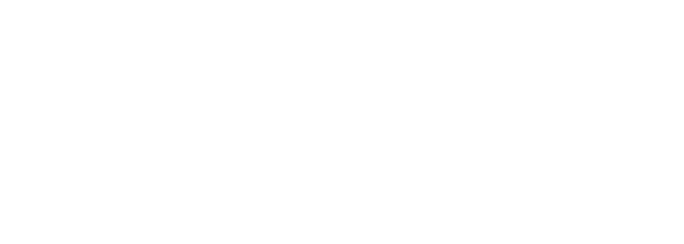 Mavericks Logo